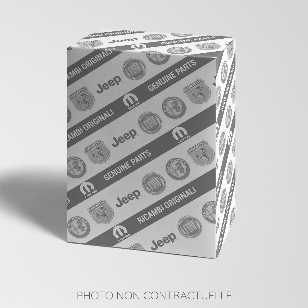 ANTENNE DE TOIT FIAT